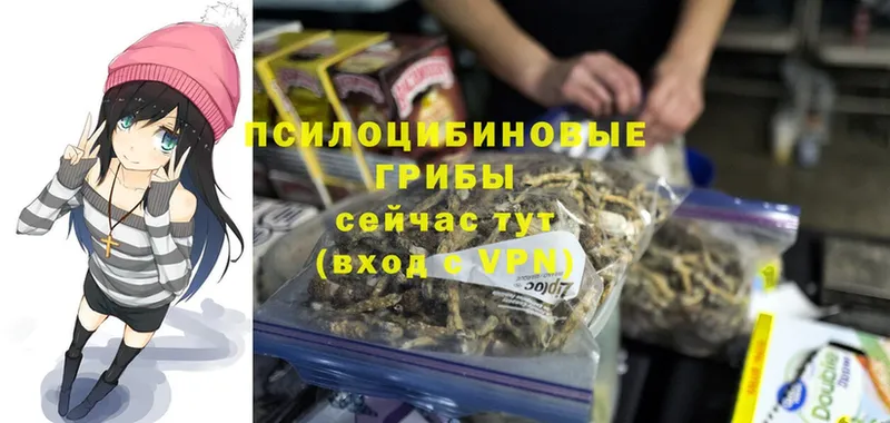 Псилоцибиновые грибы Psilocybe  omg как войти  дарк нет телеграм  купить  цена  Слюдянка 